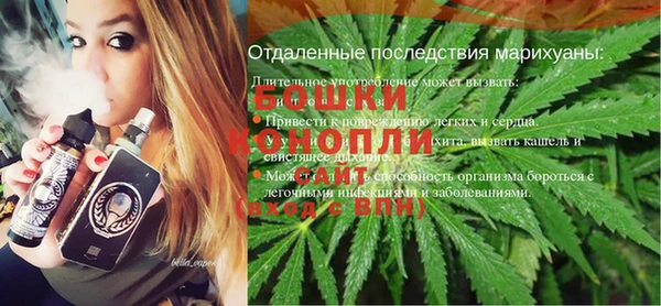 прущие грибы Богданович