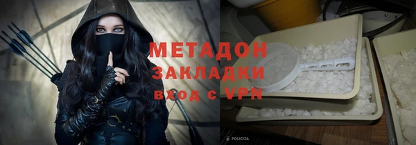 прущие грибы Богданович