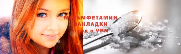 прущие грибы Богданович