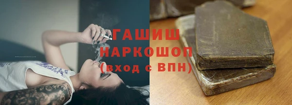 СК Богородицк