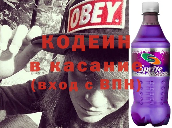 прущие грибы Богданович