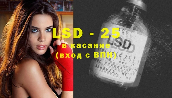 прущие грибы Богданович