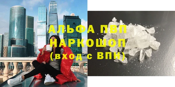 прущие грибы Богданович