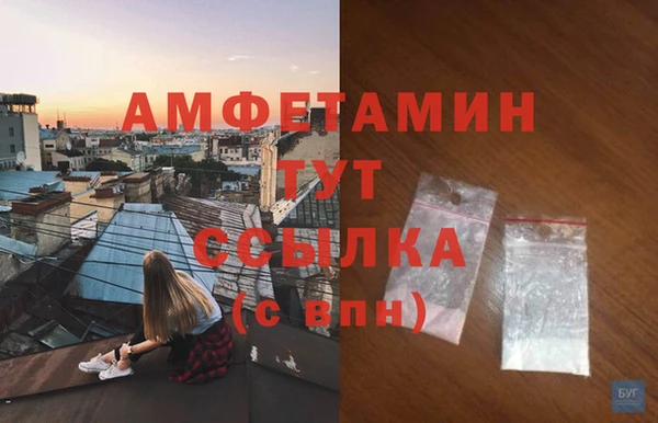 прущие грибы Богданович