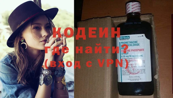 прущие грибы Богданович