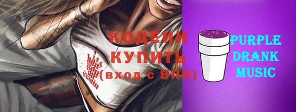 прущие грибы Богданович