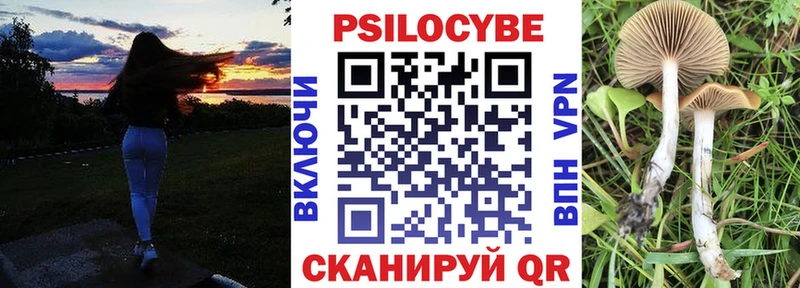 даркнет сайт  Навашино  Псилоцибиновые грибы прущие грибы 